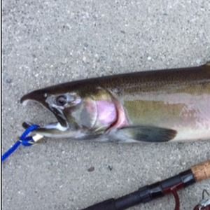 Meet your Posher, Kerro